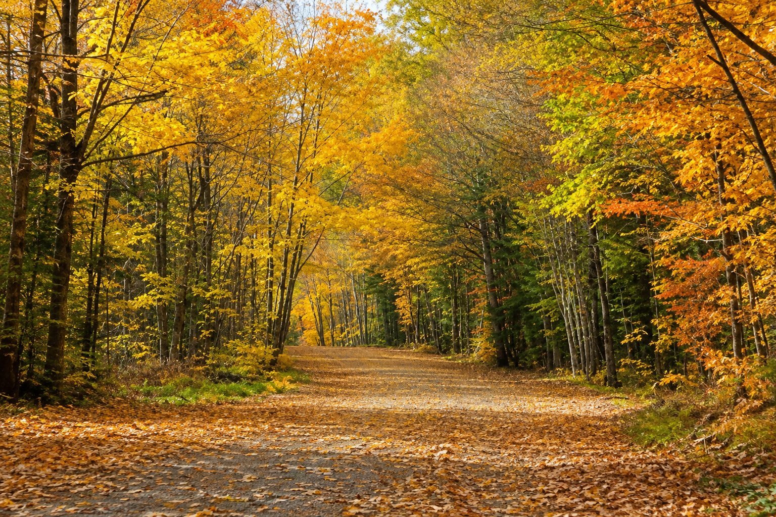 The Way of St James, October:.jpg